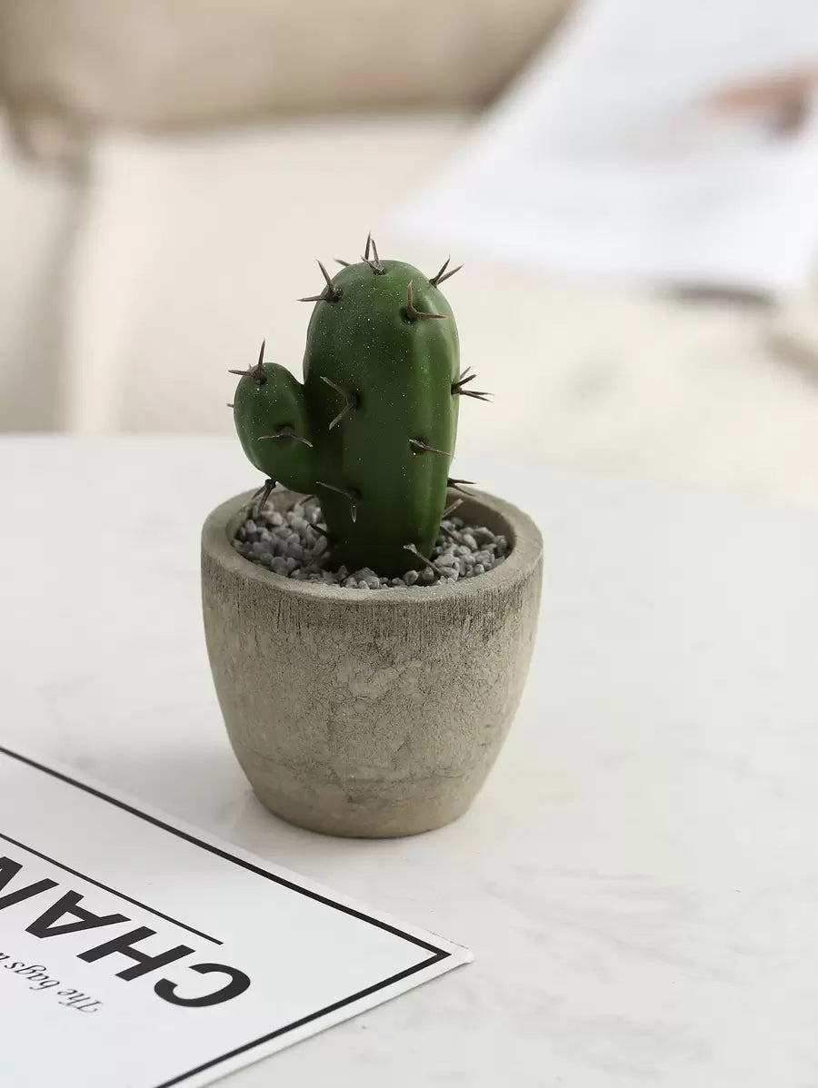 Plantas suculentas artificiales con maceta