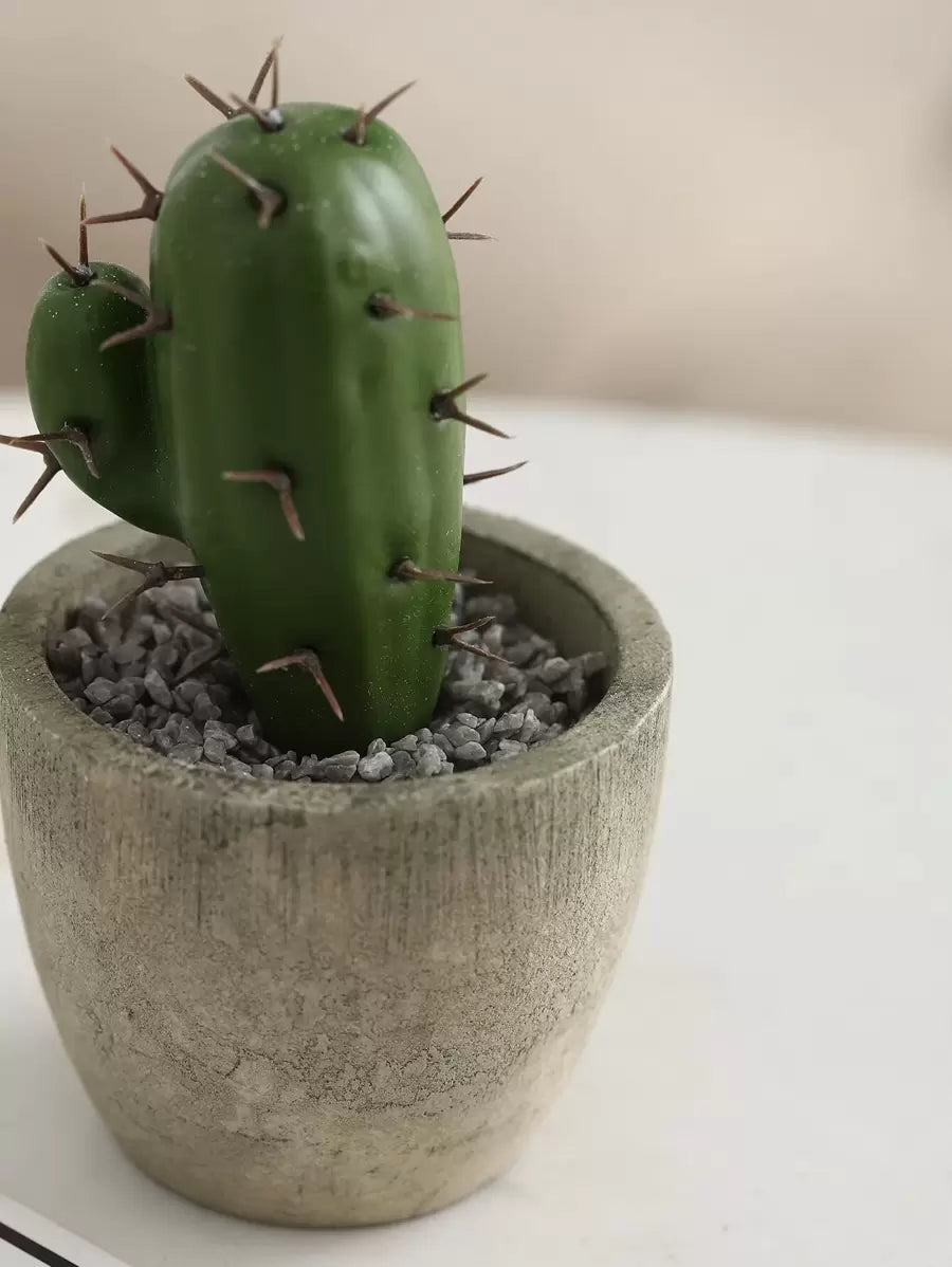 Plantas suculentas artificiales con maceta