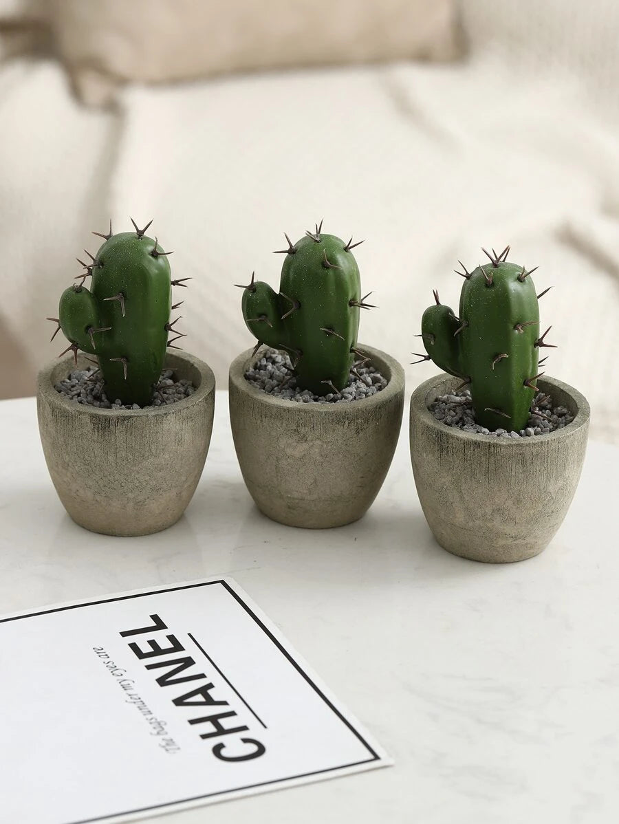 Plantas suculentas artificiales con maceta