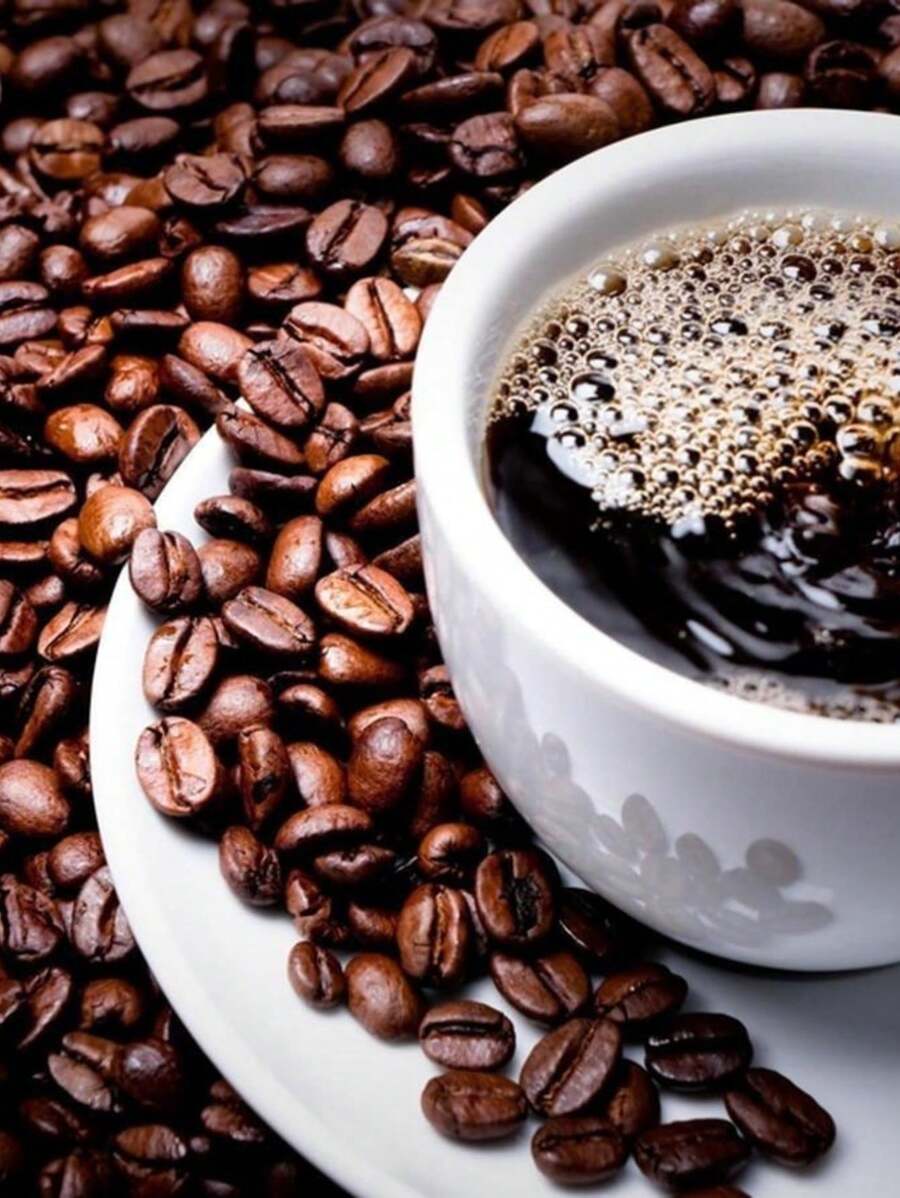 Cafetera Electrica Acero Inoxididable