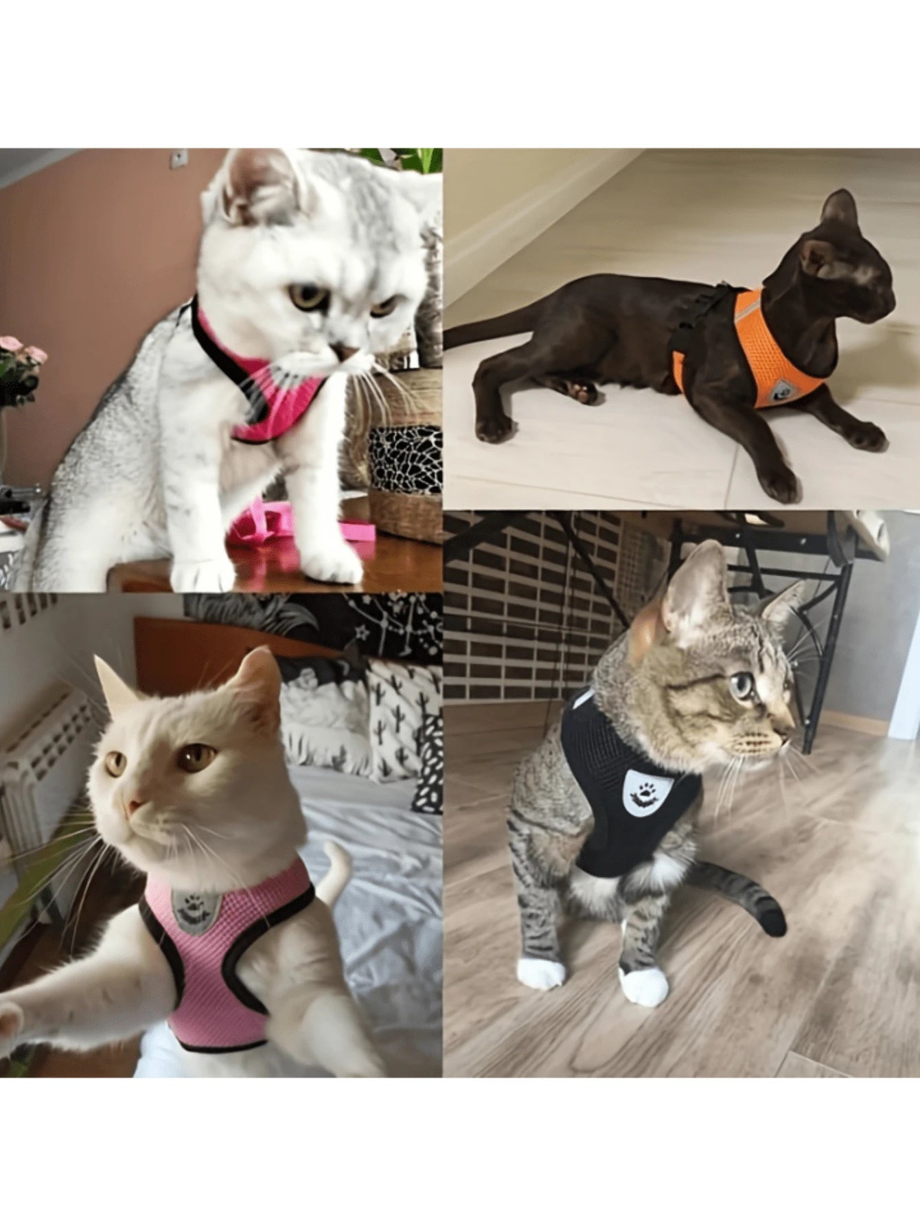 Conjunto de arnés y correa para mascotas (gatos y perros)