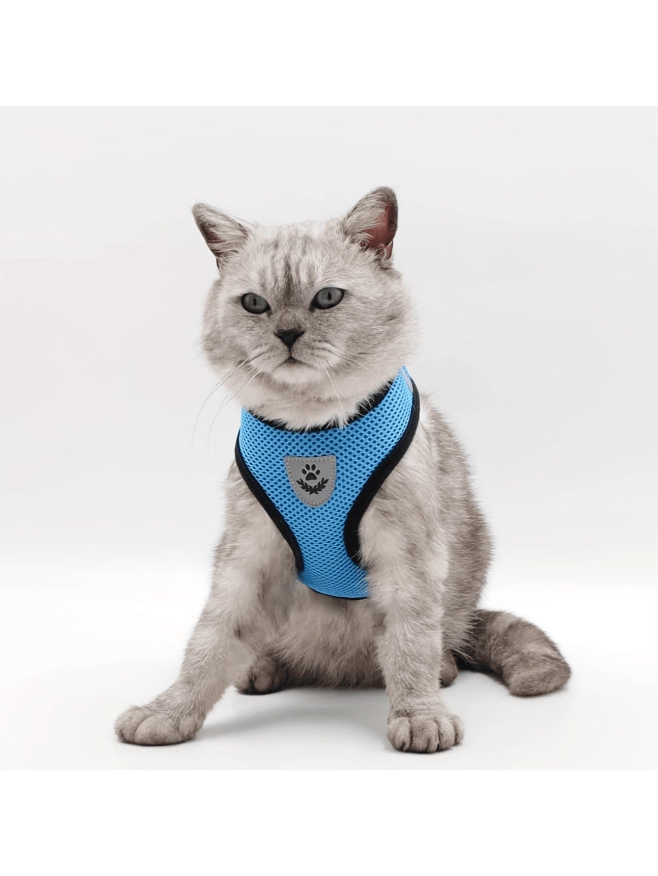 Conjunto de arnés y correa para mascotas (gatos y perros)