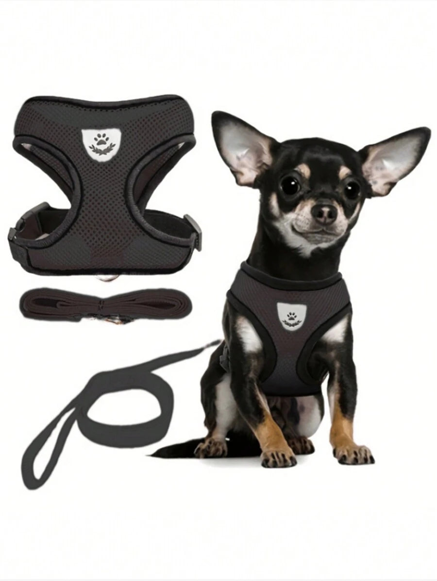 Conjunto de arnés y correa para mascotas (gatos y perros)