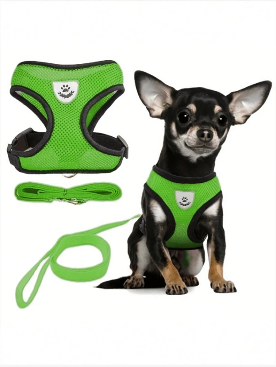 Conjunto de arnés y correa para mascotas (gatos y perros)