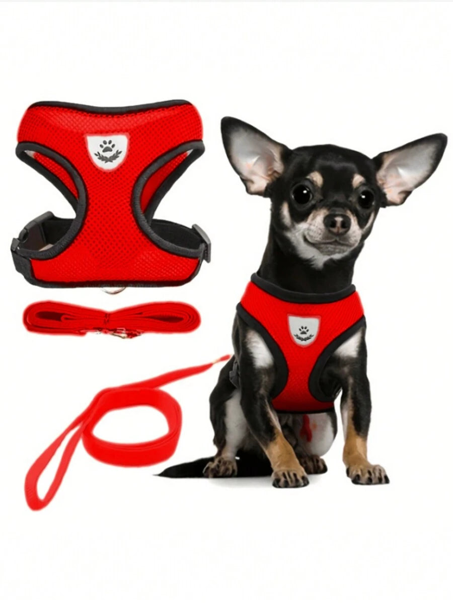 Conjunto de arnés y correa para mascotas (gatos y perros)