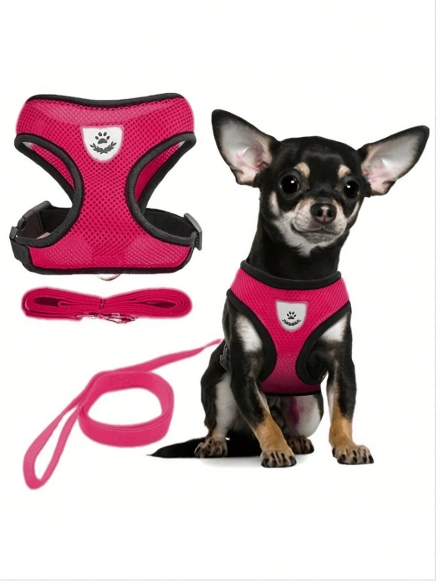 Conjunto de arnés y correa para mascotas (gatos y perros)
