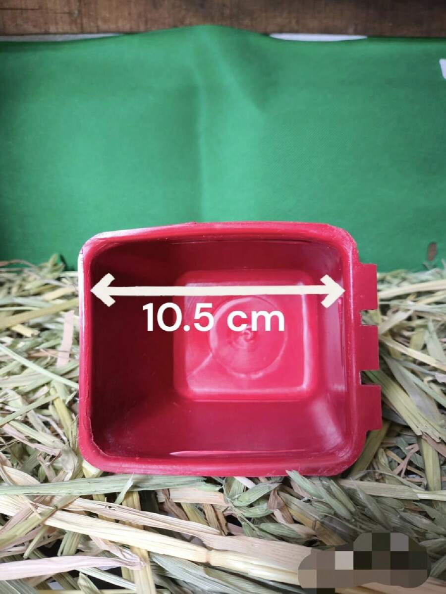 comedero para aves 100 piezas