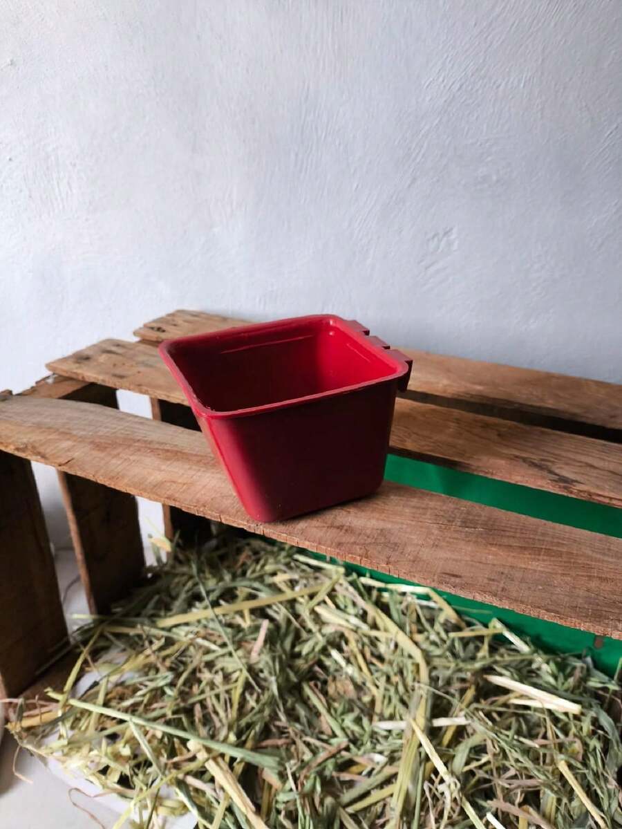 comedero para aves 100 piezas