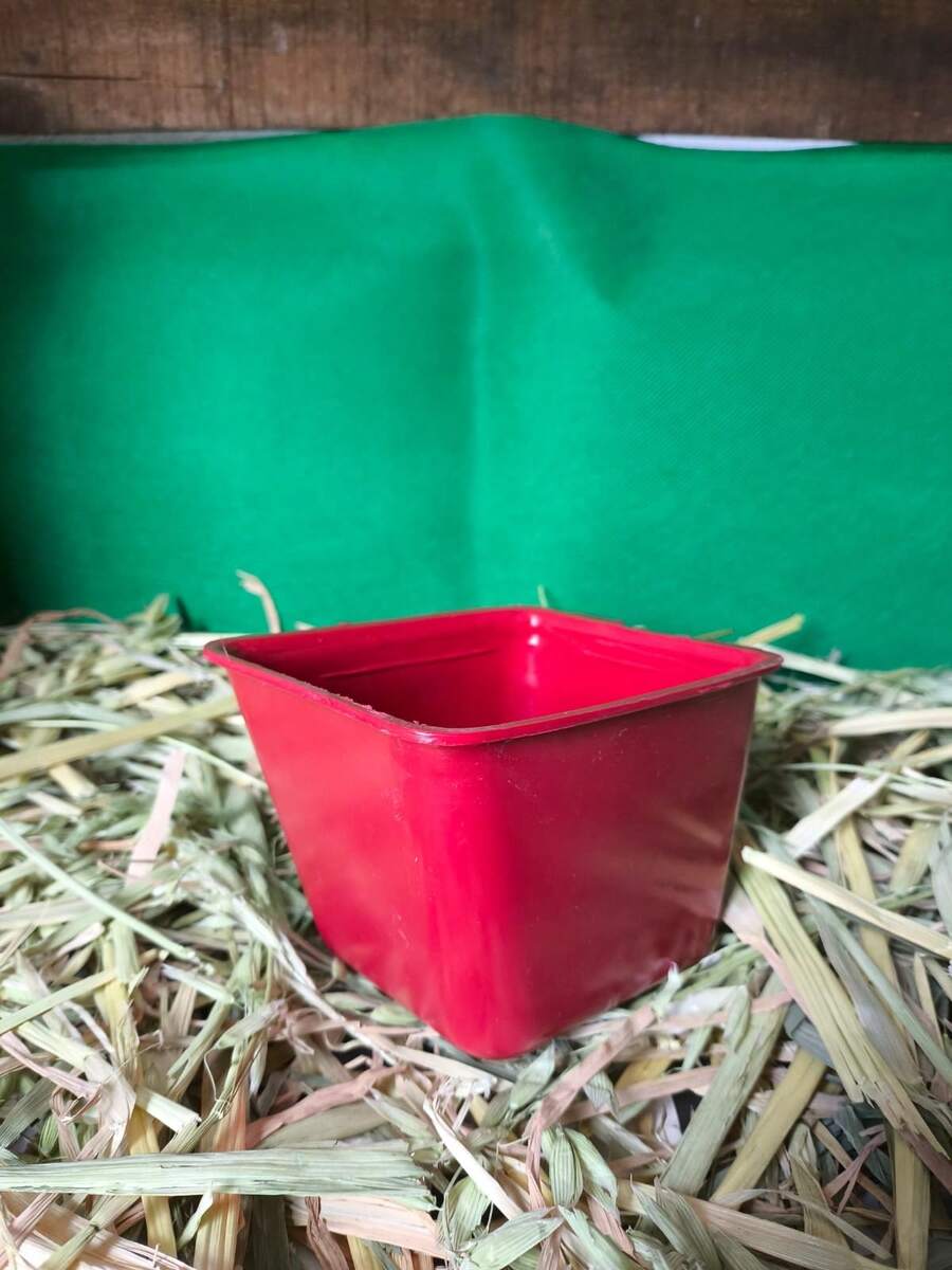 comedero para aves 100 piezas