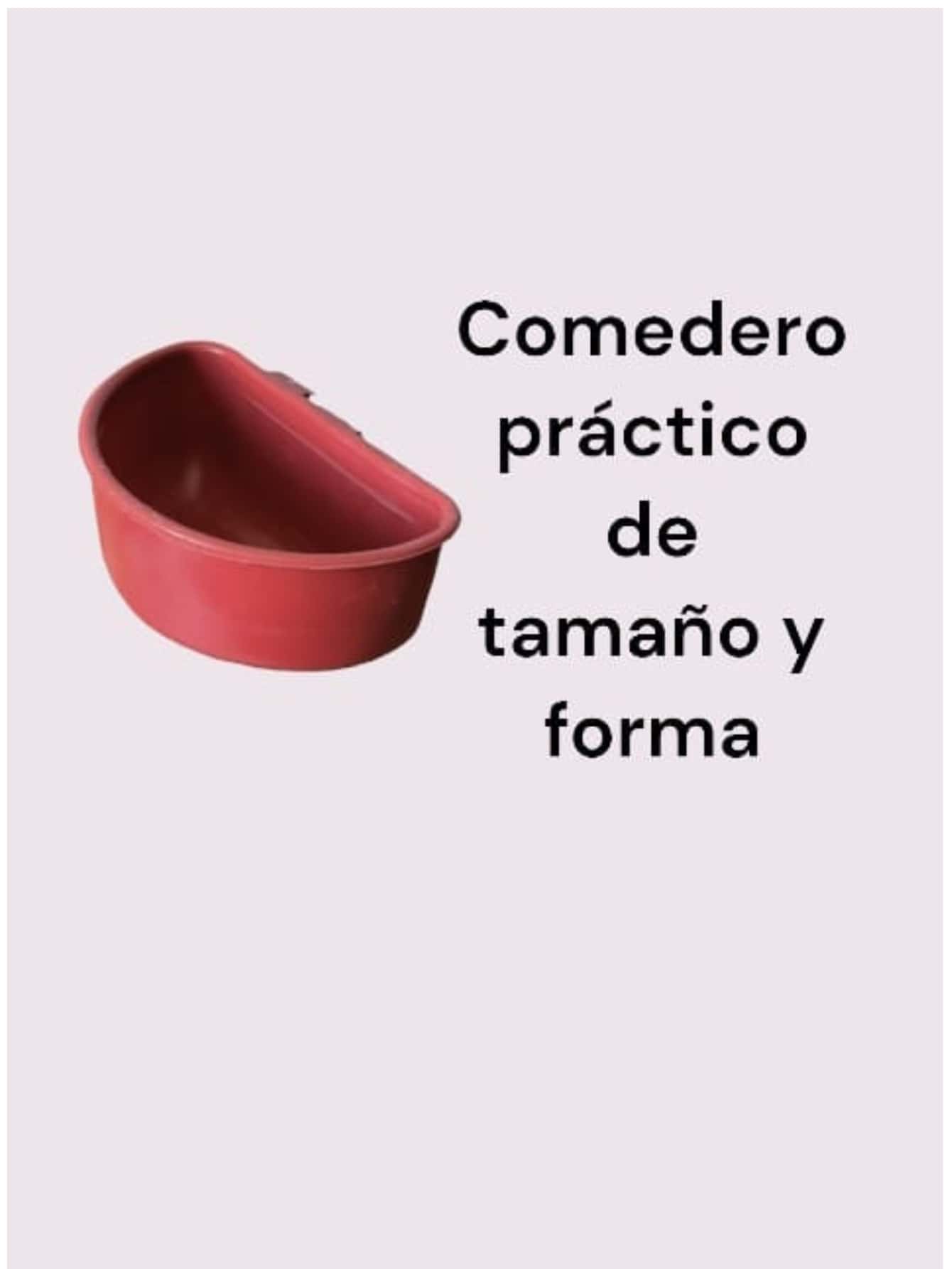 comedero para aves 50 piezas