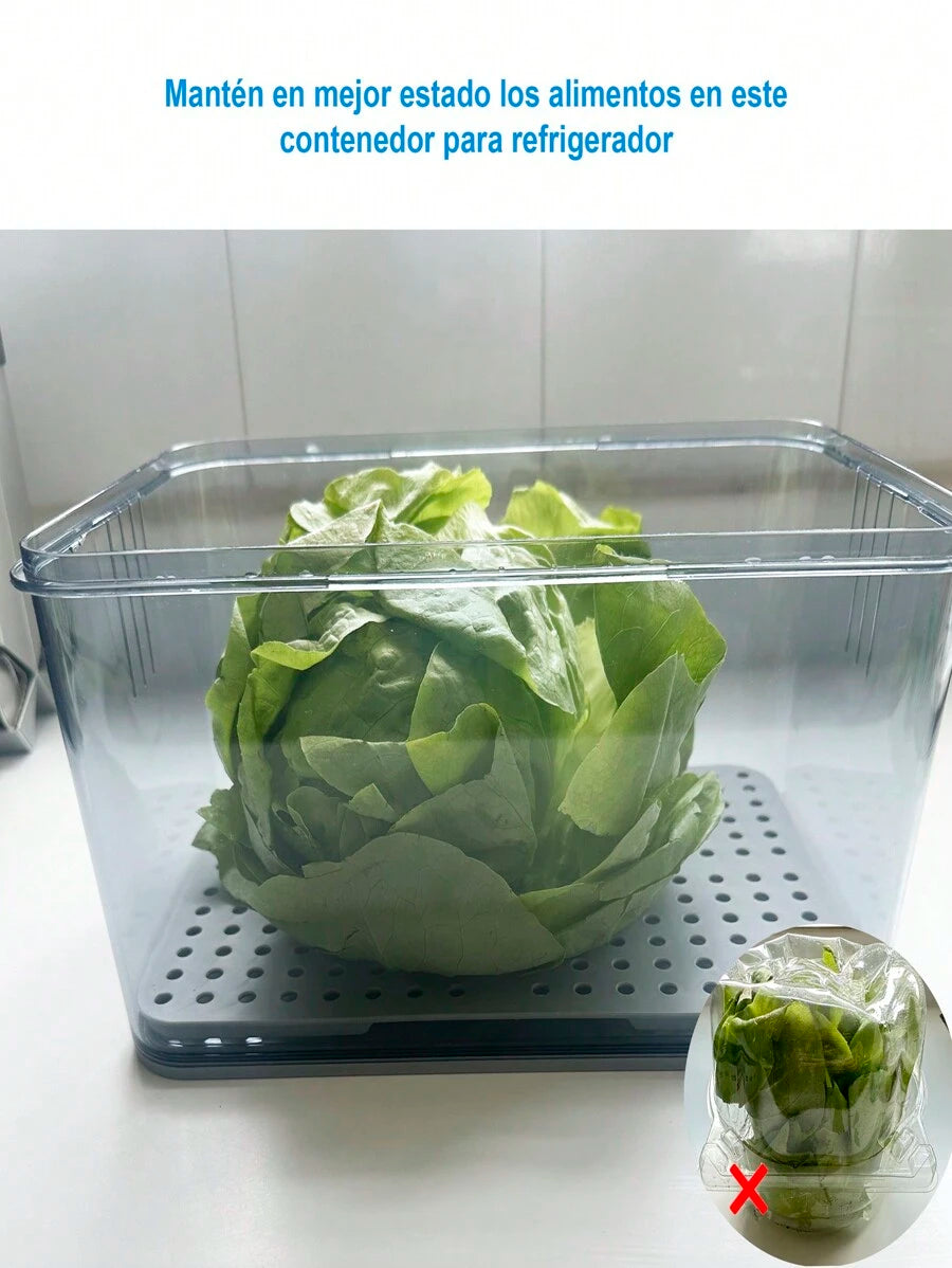 Contenedor De Alimentos