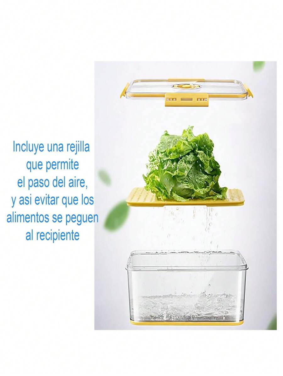 Contenedor De Alimentos