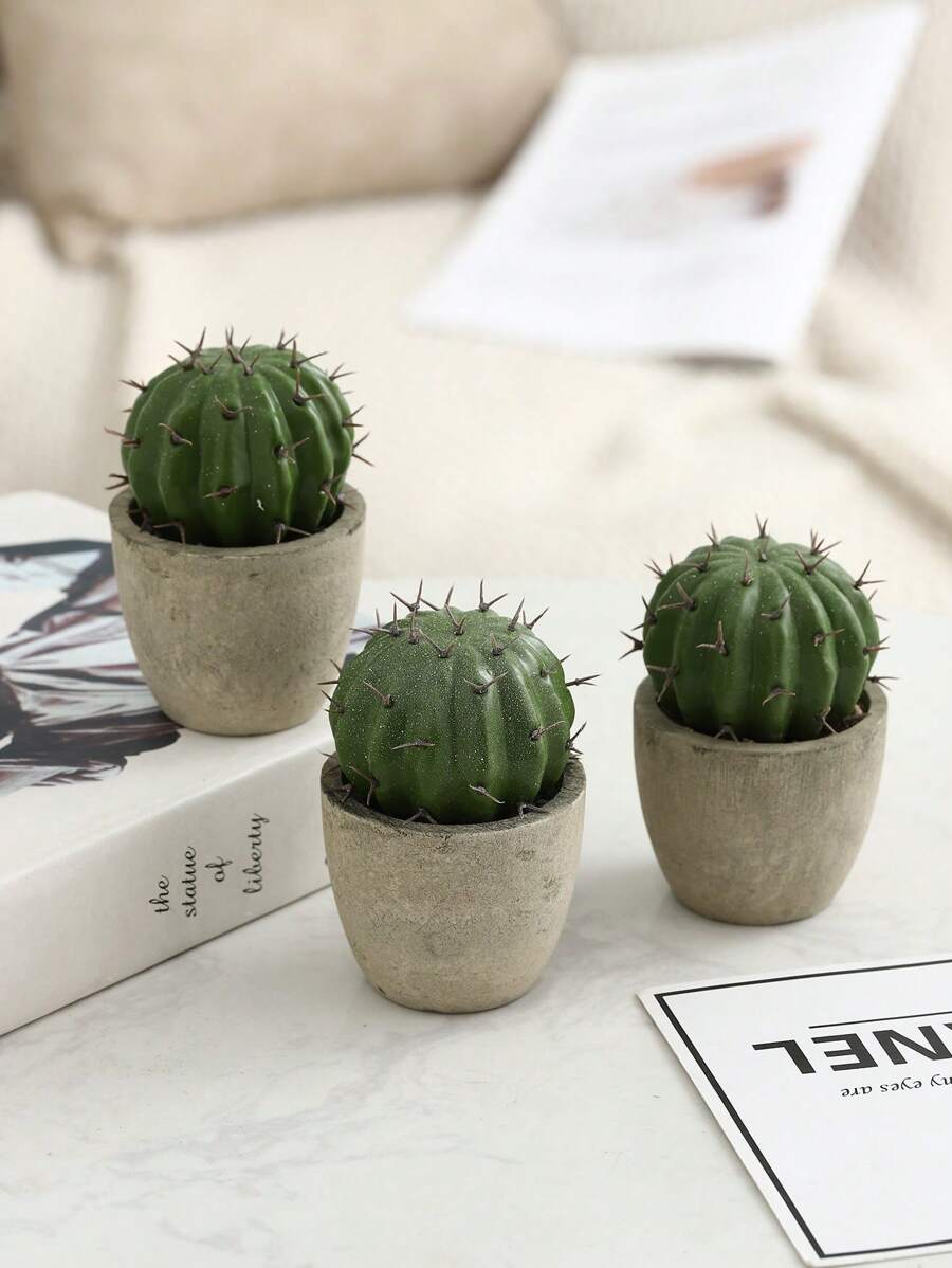 Plantas suculentas artificiales con maceta