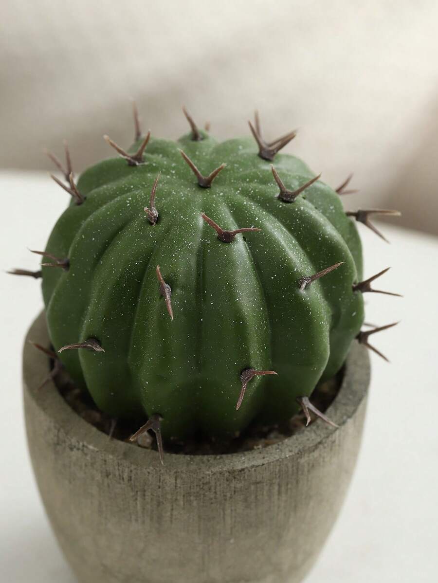 Plantas suculentas artificiales con maceta