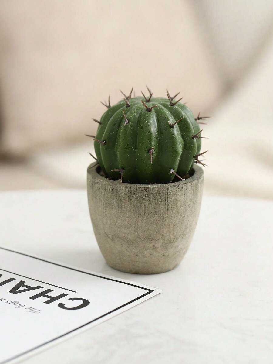 Plantas suculentas artificiales con maceta