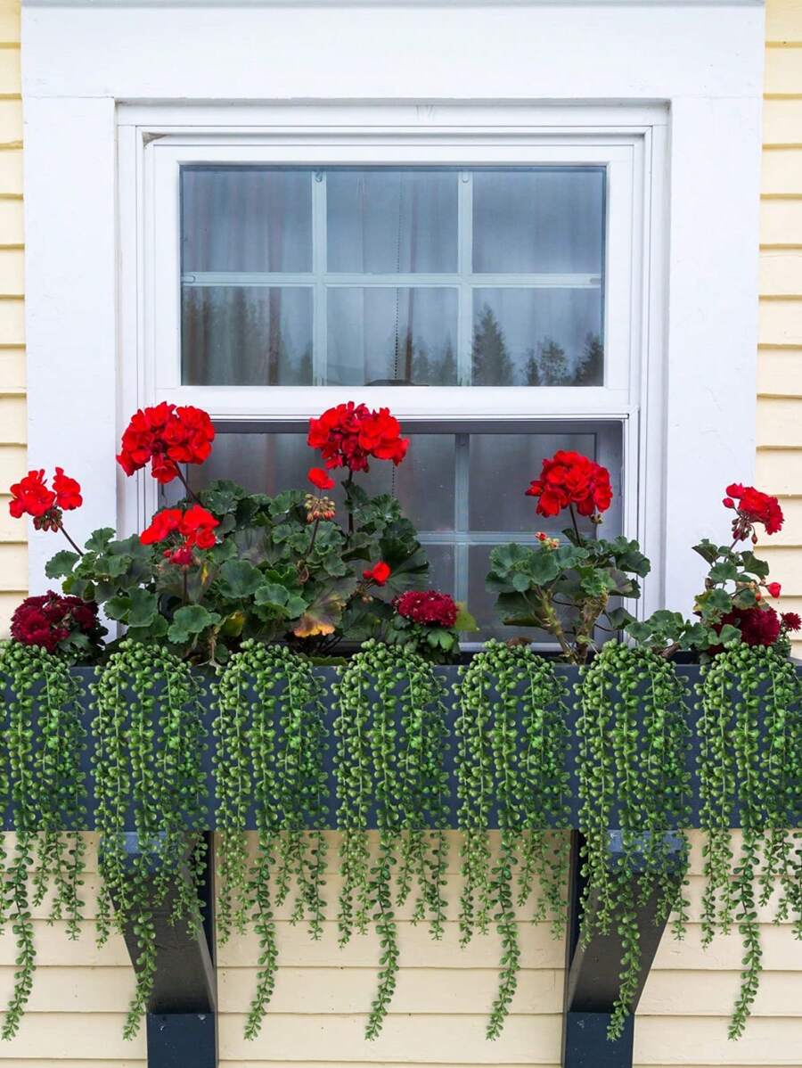 Plantas artificiales, Plantas en maceta colgantes