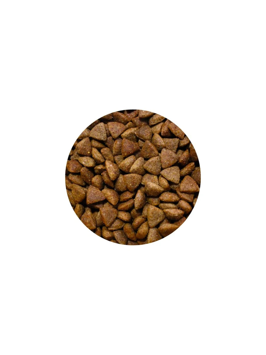Alfa Dog Adulto 4kg  Alimento Premium para Perro Todas Las Razas Formulado con Salmón