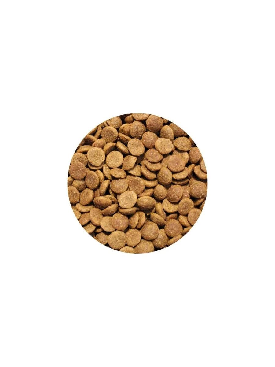 Alfa Dog Cachorro 4kg  Alimento Premium para Perro Todas Las Razas