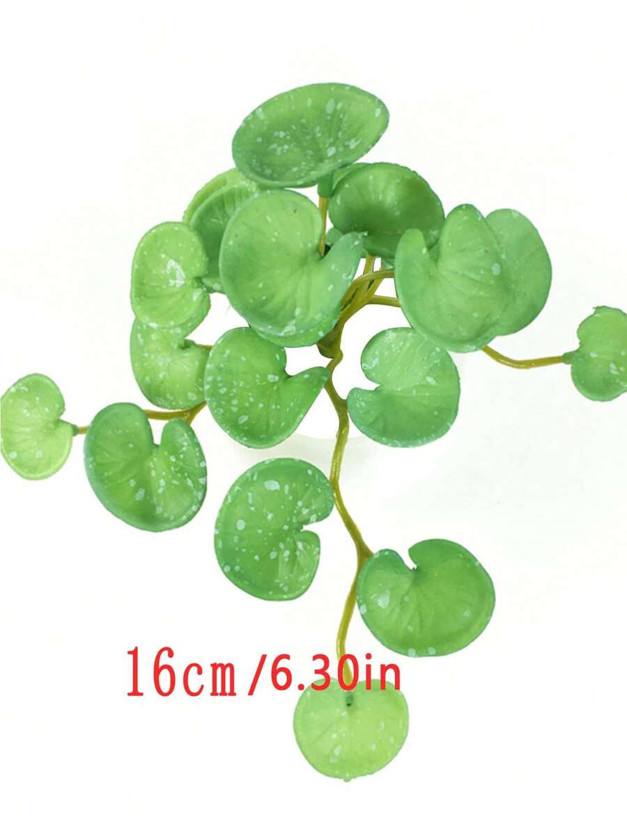planta suculenta falsa para paisaje tropical