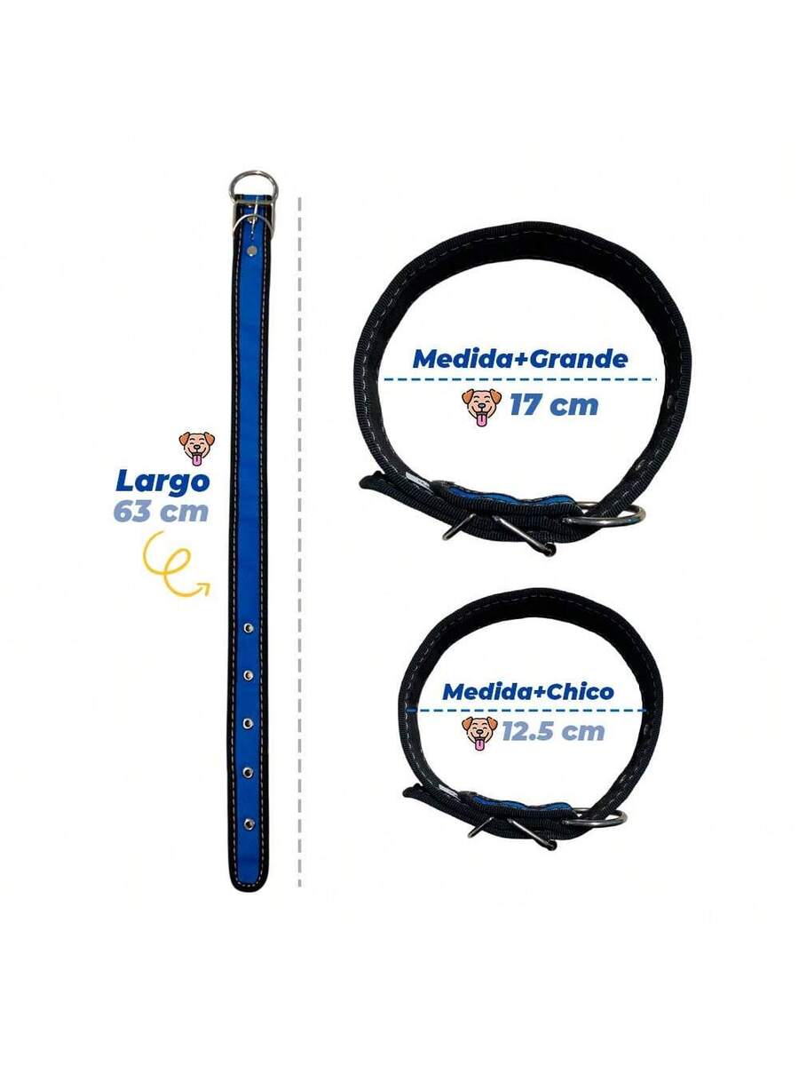 Collar para Perro Reforzado, Resistente en Variedad de Colores y Tallas