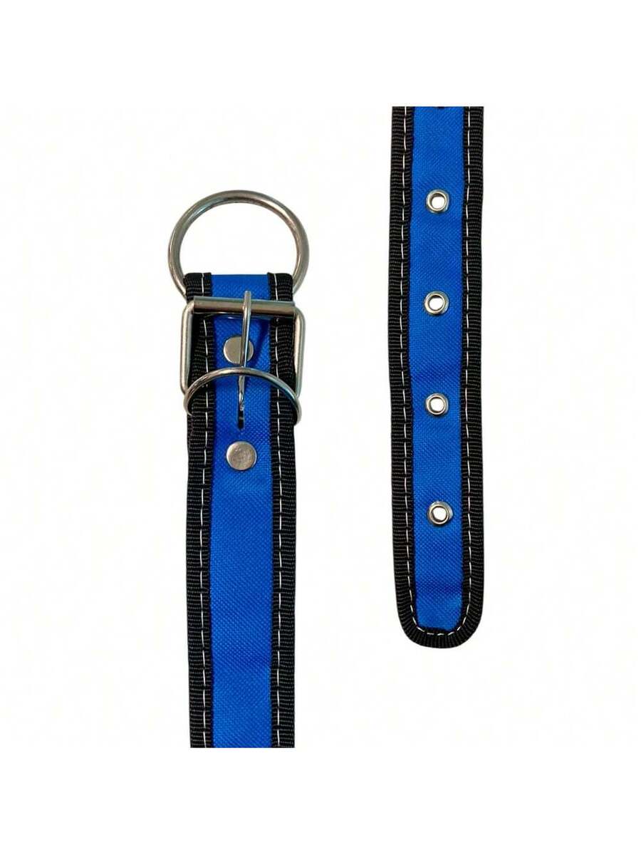Collar para Perro Reforzado, Resistente en Variedad de Colores y Tallas