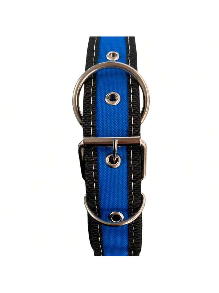 Collar para Perro Reforzado, Resistente en Variedad de Colores y Tallas