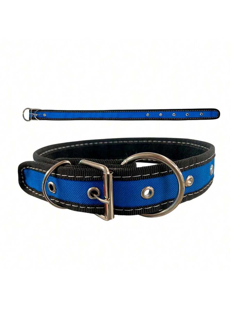 Collar para Perro Reforzado, Resistente en Variedad de Colores y Tallas