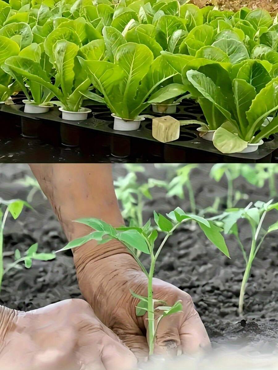 bloques de cultivo de plántulas transpirables