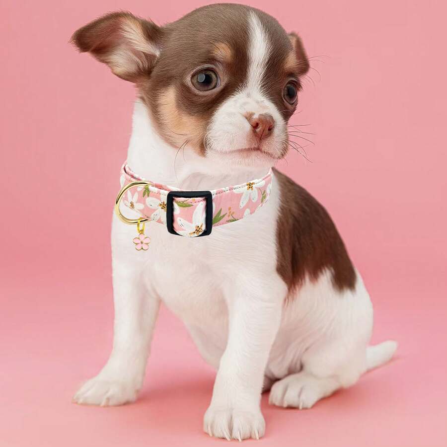 Collar de perro con estampado floral