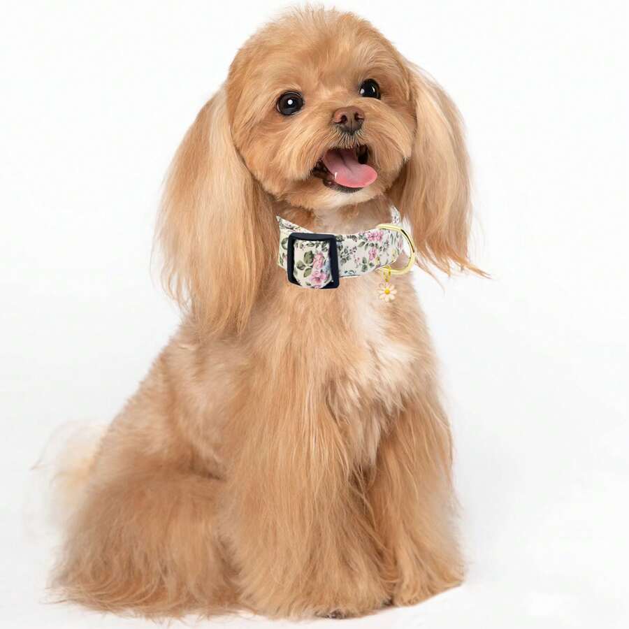 Collar de perro con estampado floral