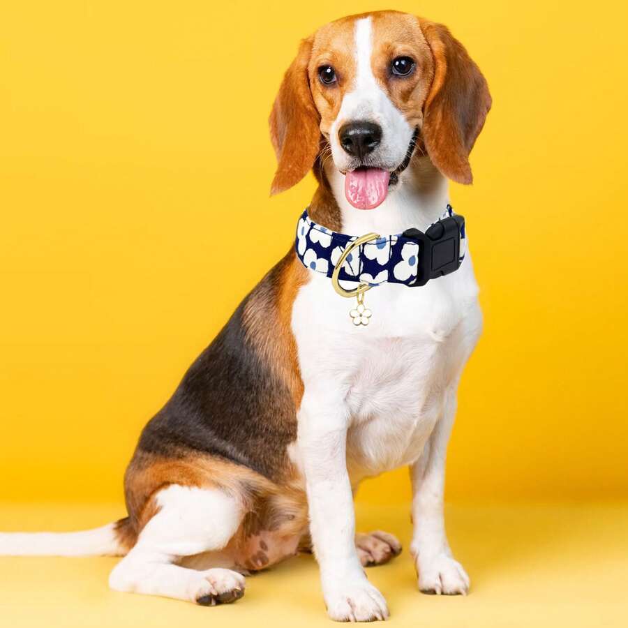 Collar de perro con estampado floral