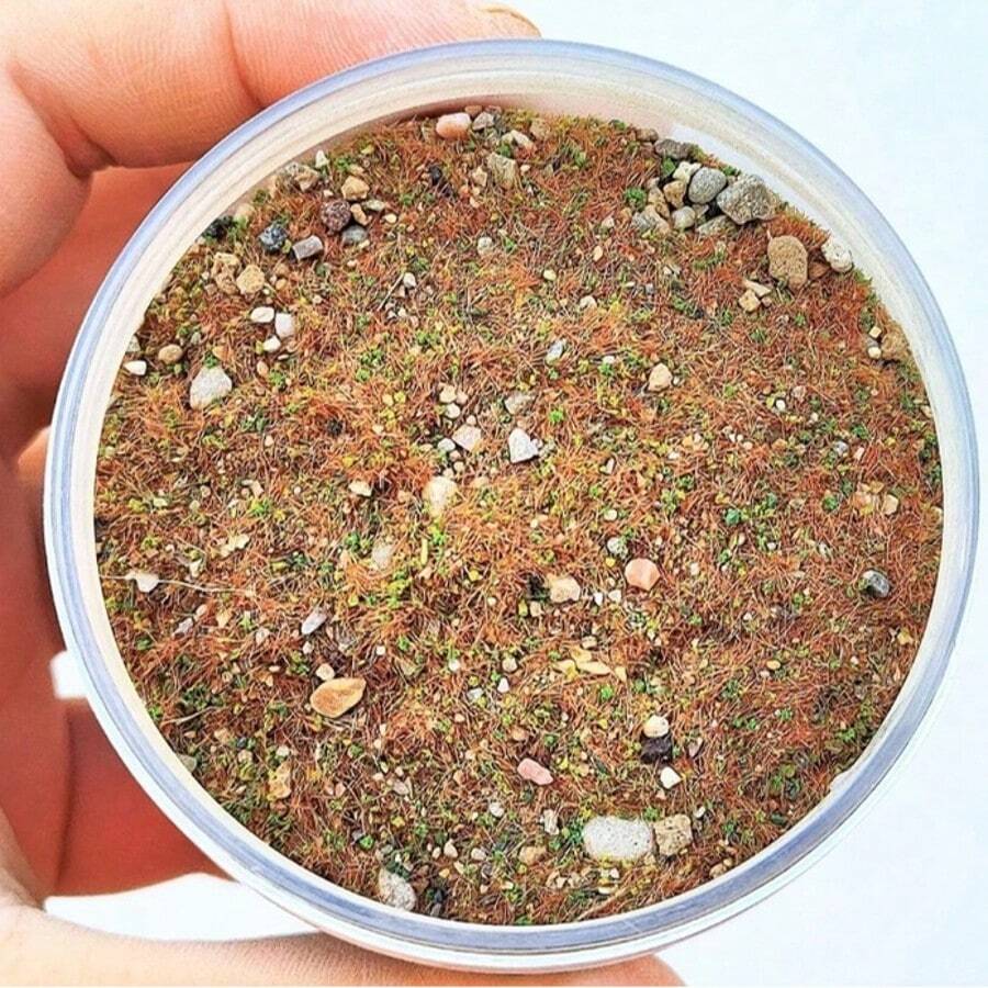 30g Polvo de hierba
