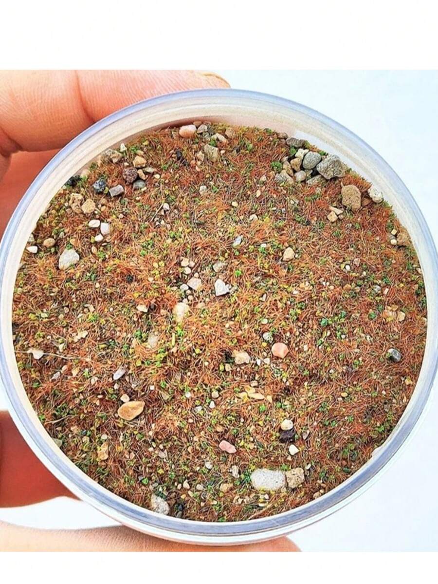 30g Polvo de hierba
