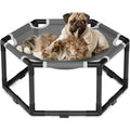 Cama Columpio Elevada para Gatos