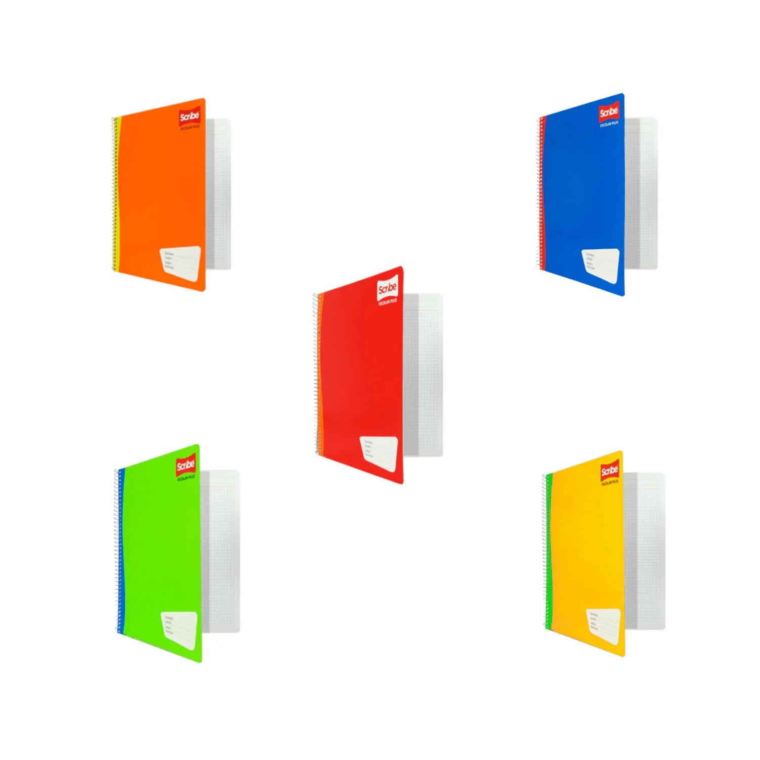 Paquete con 5 Cuadernos Scribe