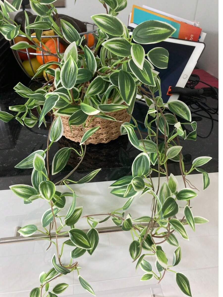 75cm plantas colgantes falsa