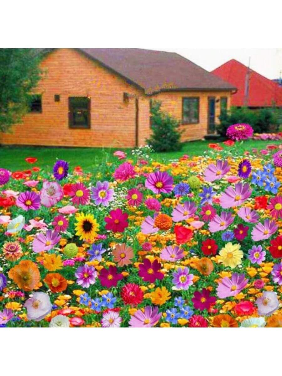 257 piezas de semillas mixtas de flores silvestres