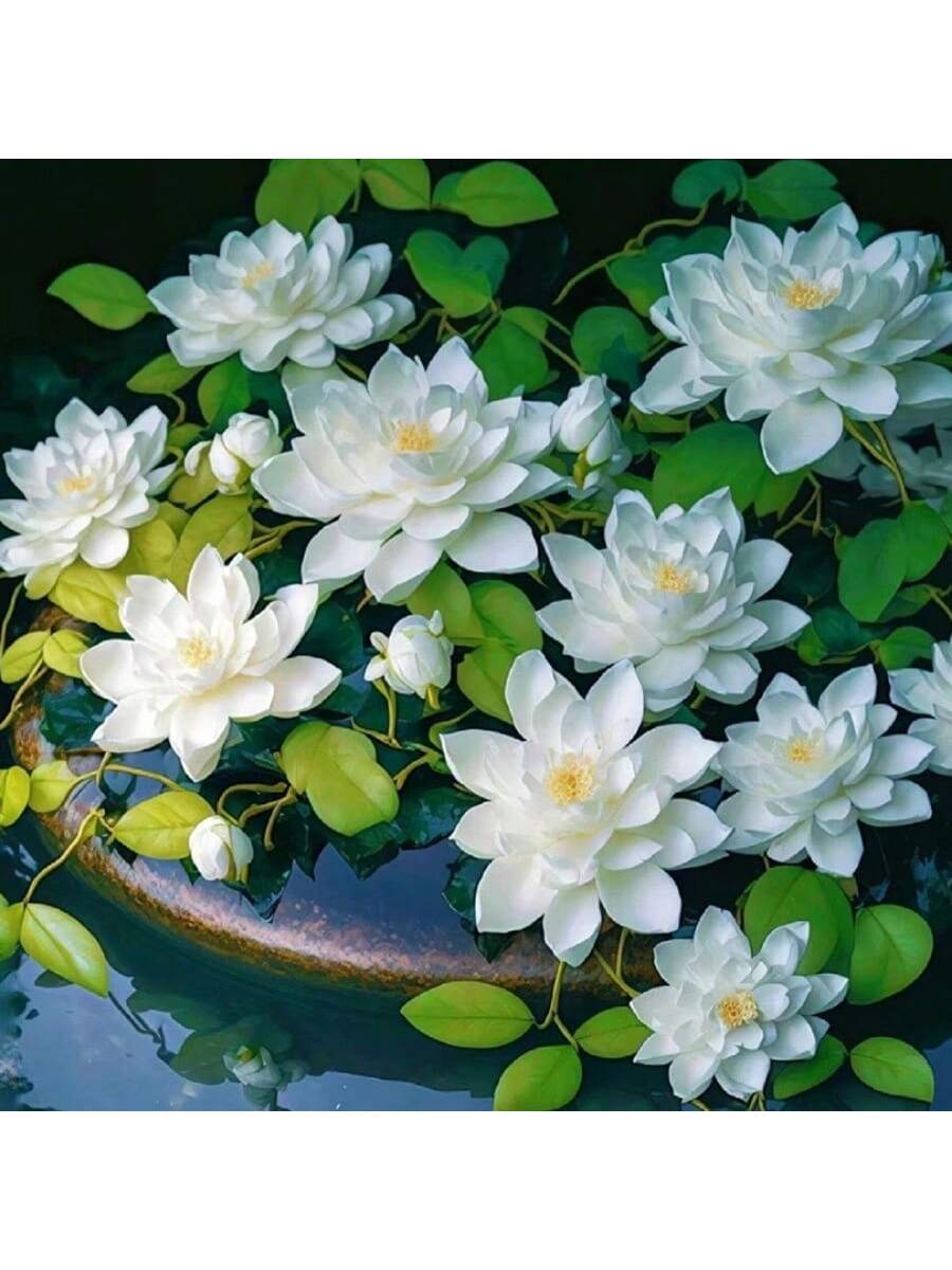 23 piezas de Semillas de flor de loto Bowi Lirio