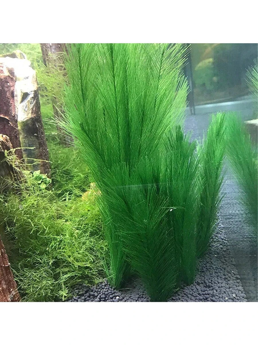 Accesorios de decoración para acuario