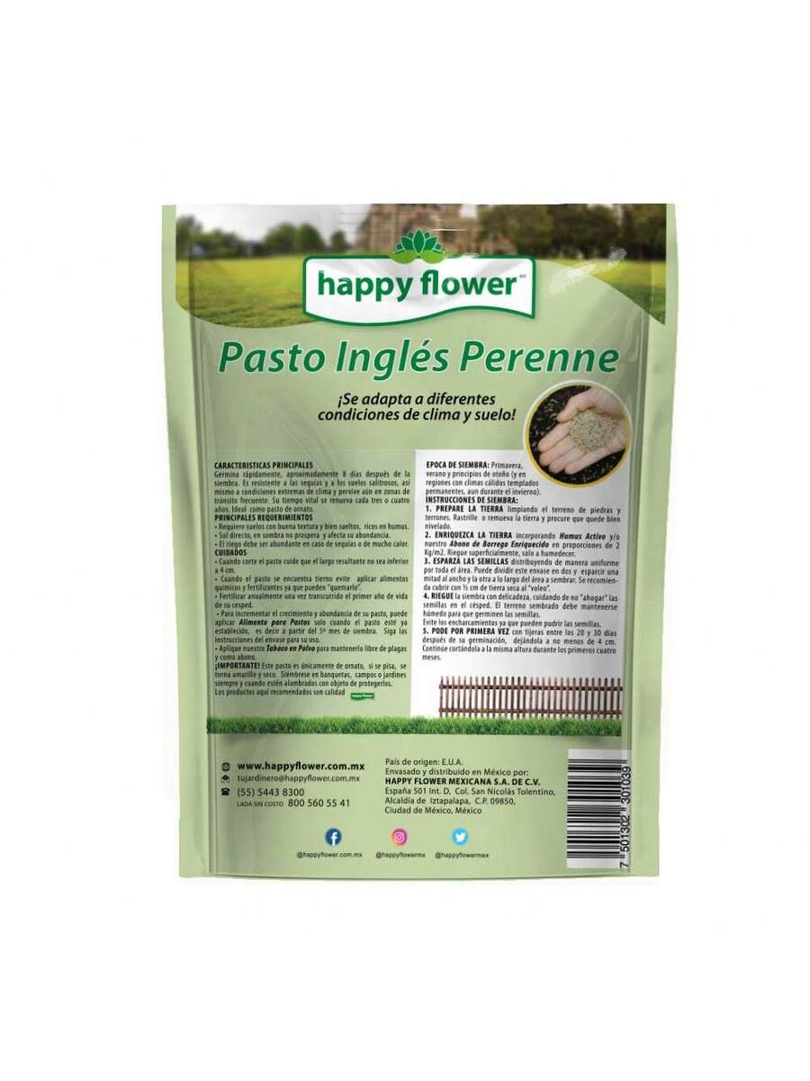 Semillas de Césped Verde para Jardín