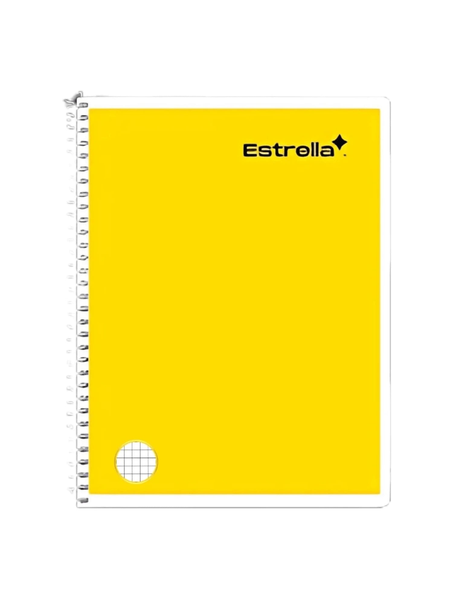 Set de 5 cuadernos Estrella francesa