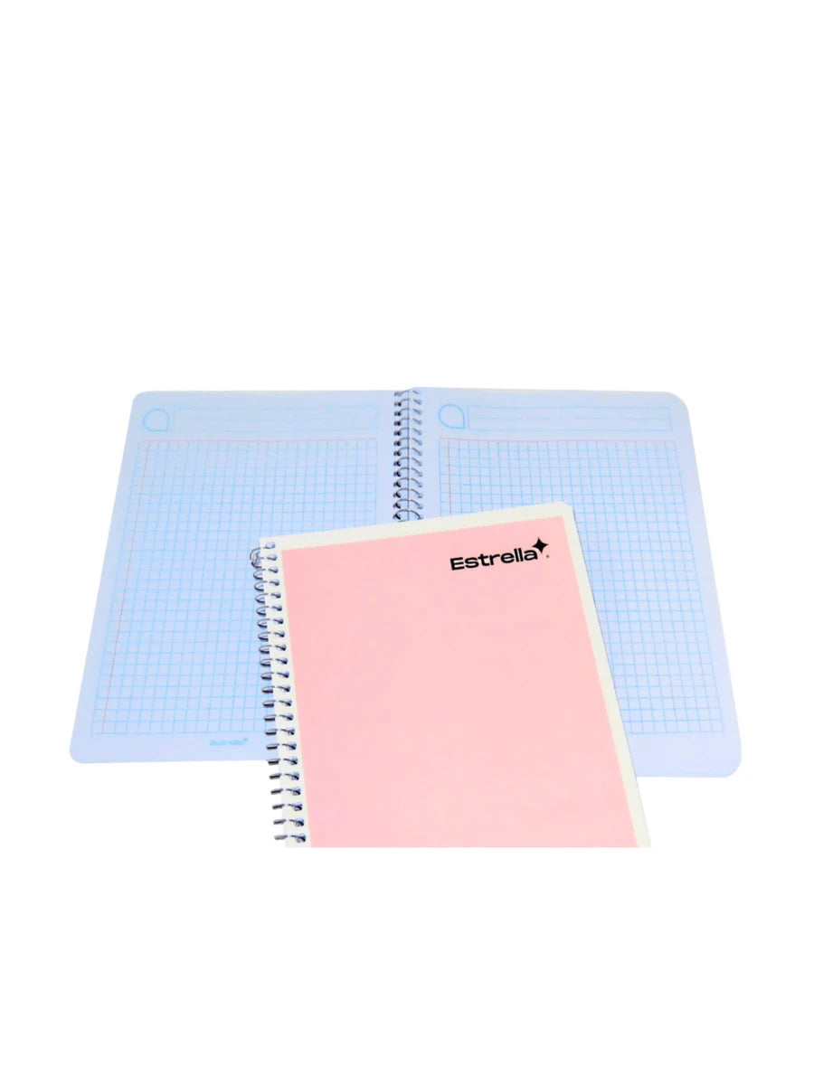 Set de 5 cuadernos Estrella francesa
