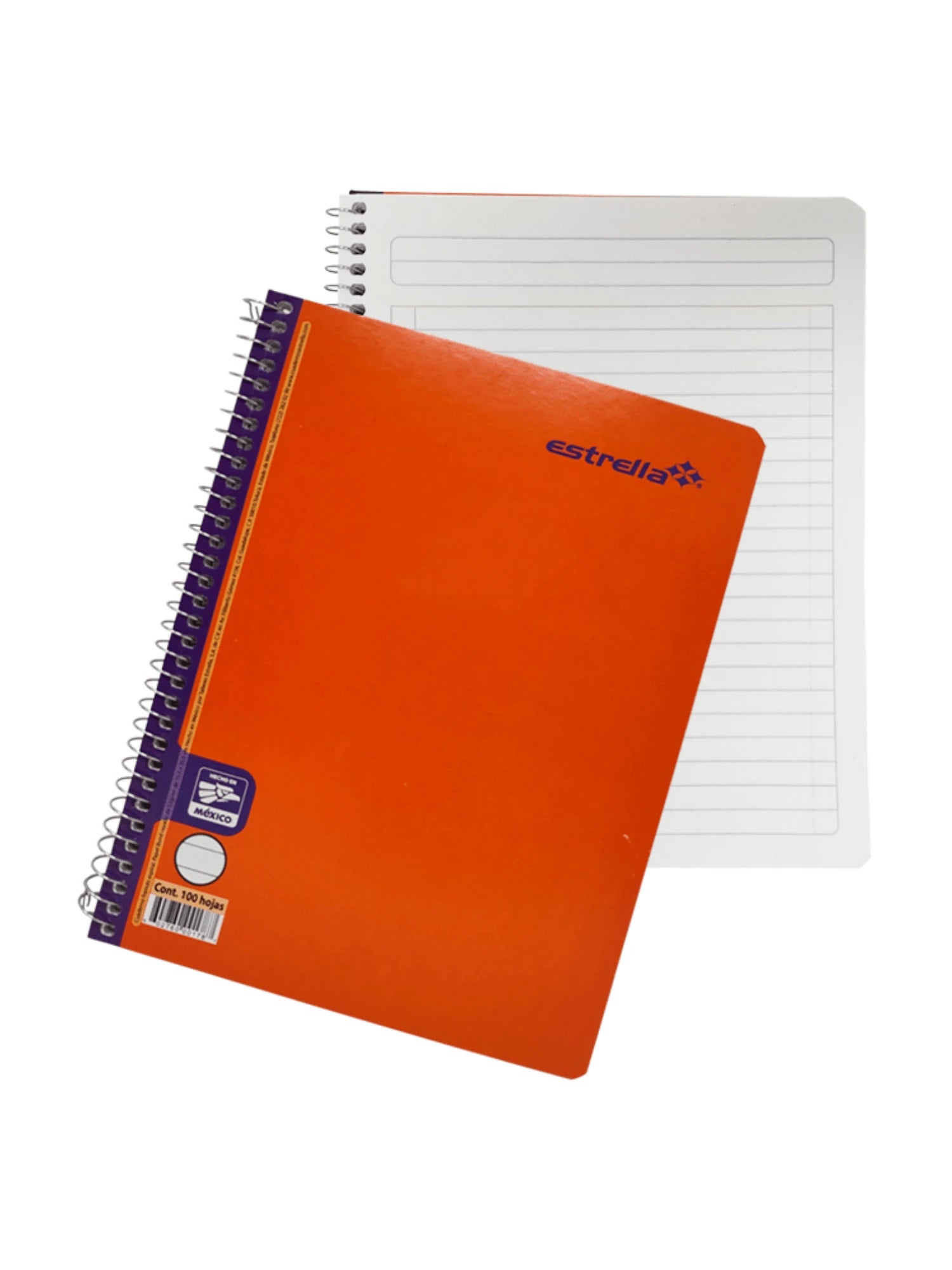 Set de 5 cuadernos Estrella francesa