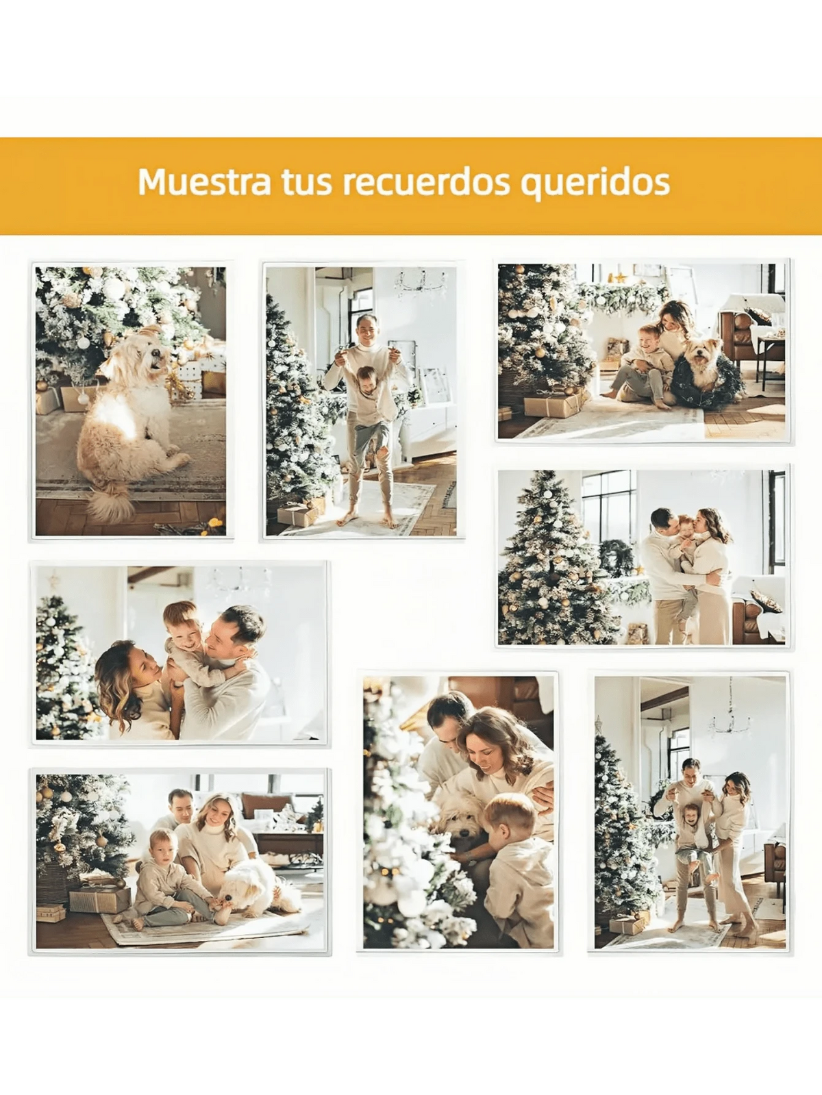 10pz Marco De Foto Magnético Bolsa