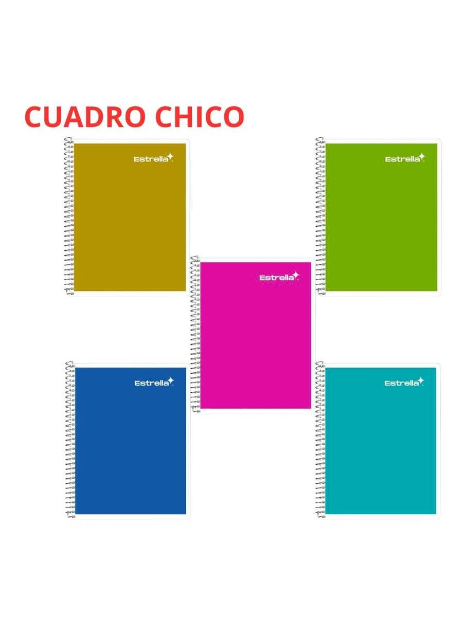 Set de 5 cuadernos Estrella francesa