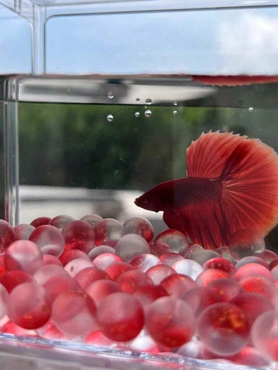 Cuentas de vidrio coloreadas y opacas para acuario