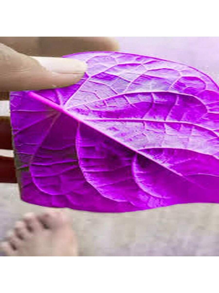 100 Semillas de Ipomoea Morada (Campanilla Morada)