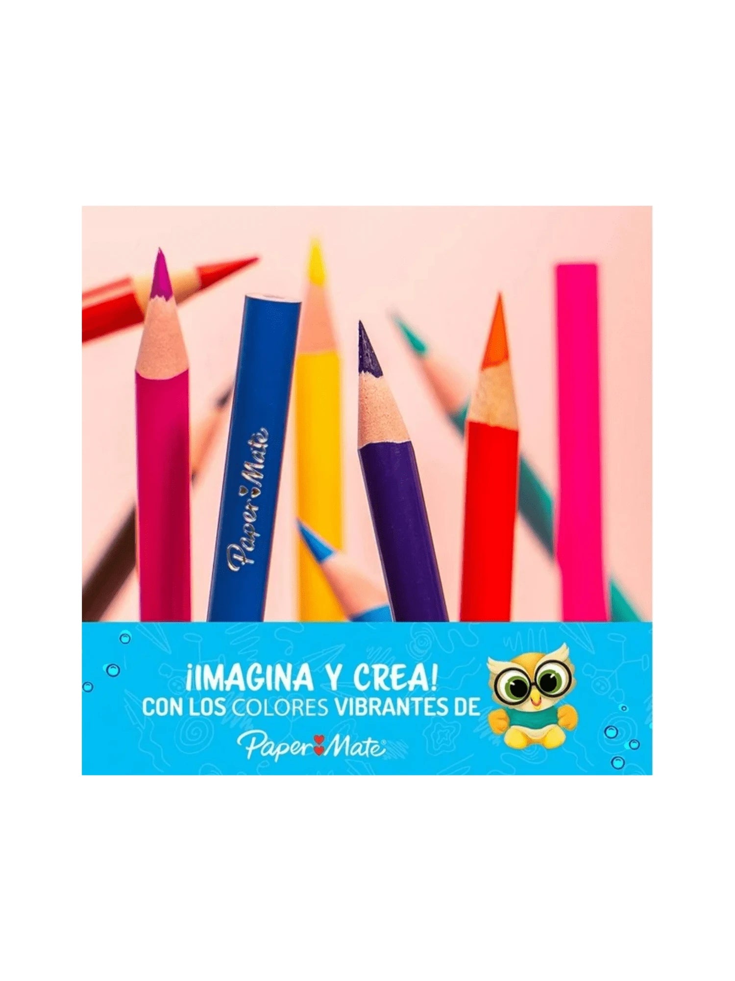 Colores Paper Mate largos caja con 24 piezas