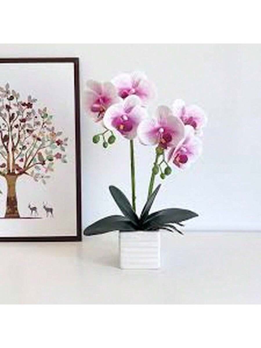 100 Semillas de Orquídea Mariposa