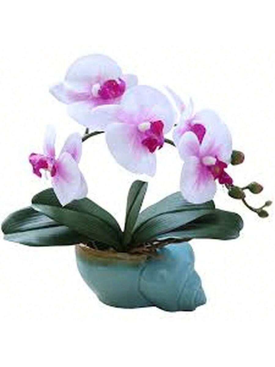 100 Semillas de Orquídea Mariposa